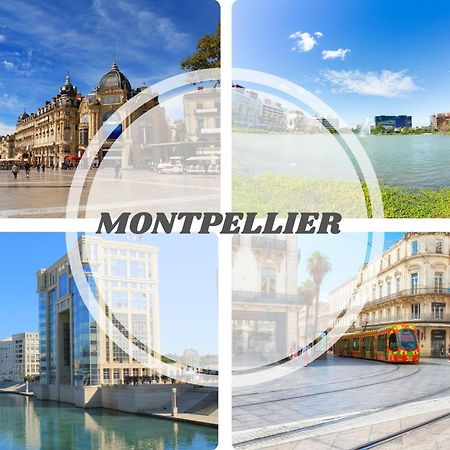 Le Calderini Appart - Face Plage Wifi Et Park Gratuit Calme - Resid Le Surcouf -Top Pros Servicesconciergerie La Grande Motte Exteriör bild